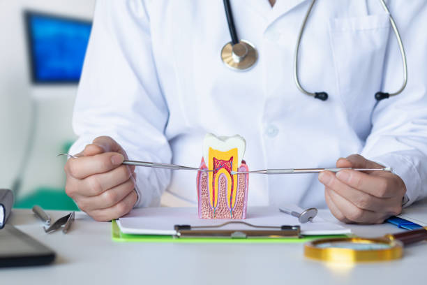Best Emergency Tooth Extraction in Potosi, MO